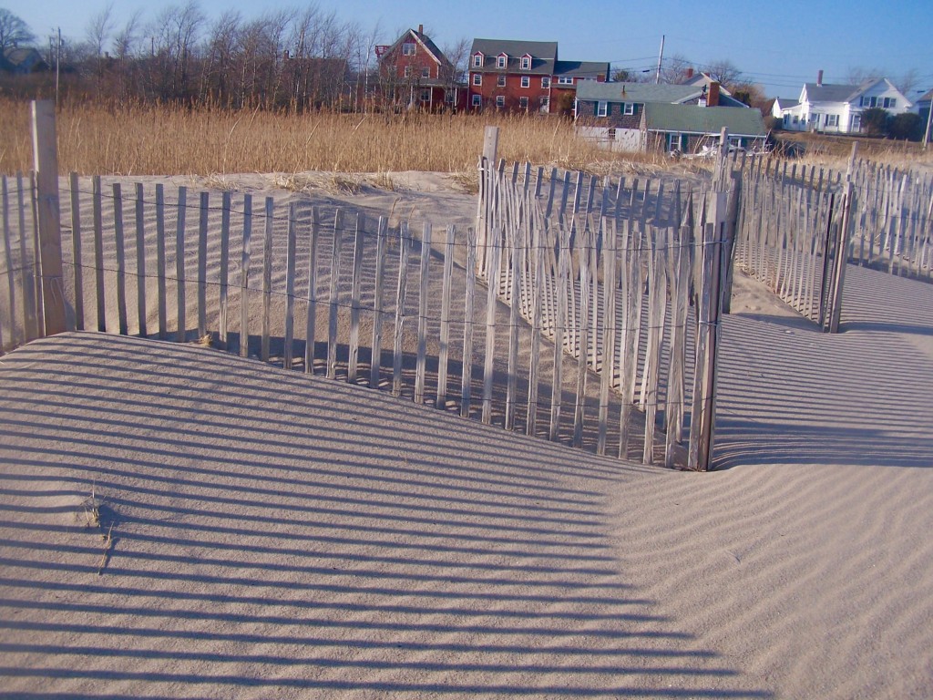 Cape beach