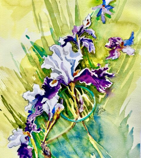 Spring Iris Watercolor Painting