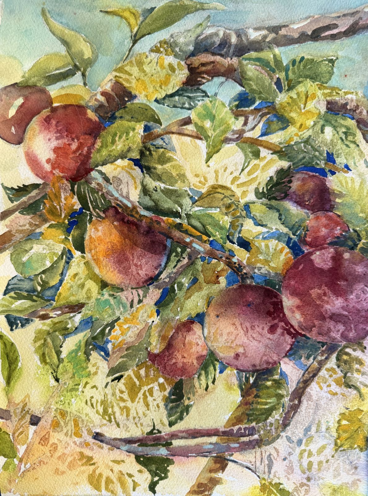Apples in Play Apples in Play